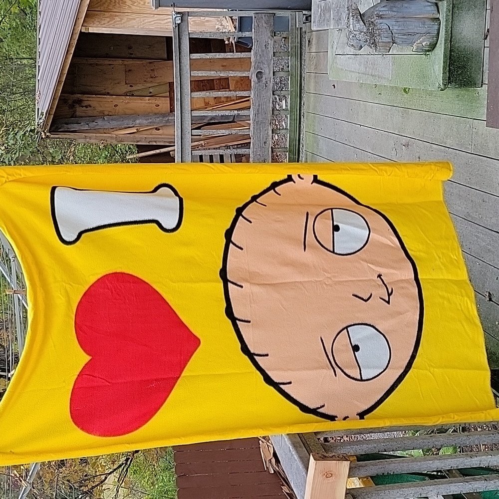 Great condition blanket. 48"x70